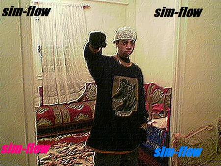 sim-flow